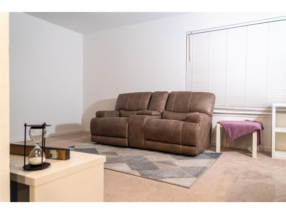 2377 Palm Park Loop Clermont FL 34714 S5137592 image19