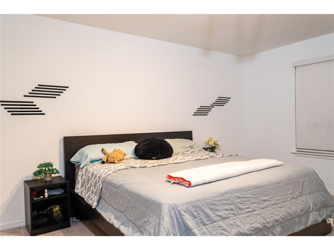 2377 Palm Park Loop Clermont FL 34714 S5137592 image20