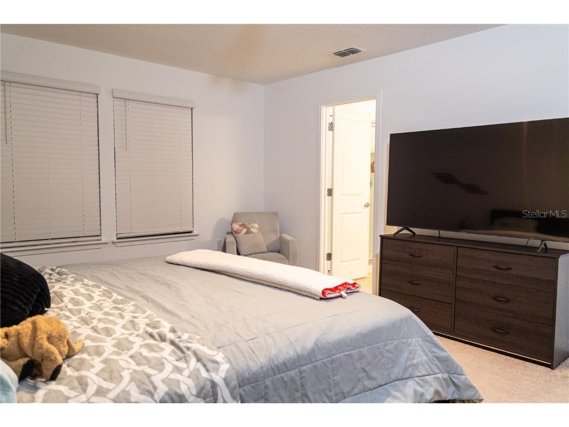 2377 Palm Park Loop Clermont FL 34714 S5137592 image21