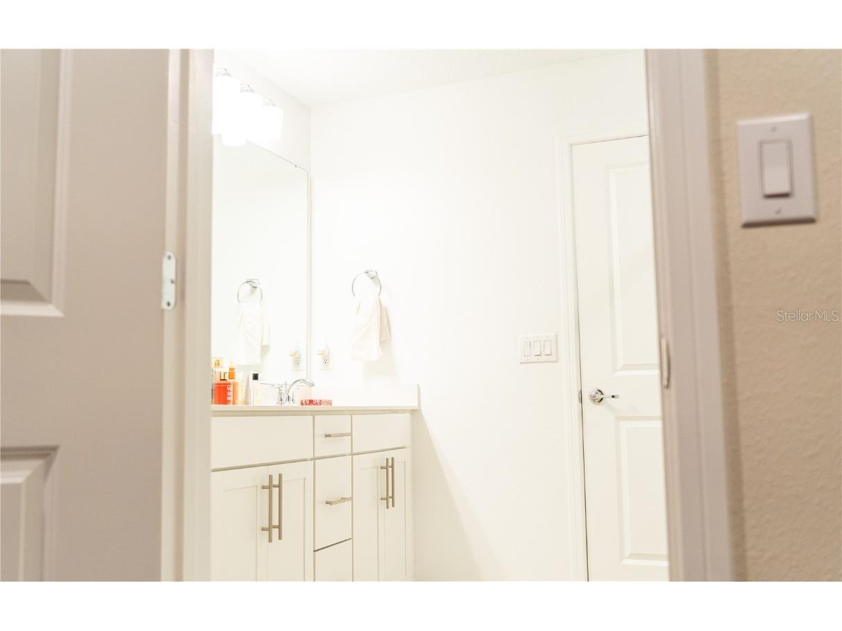 2377 Palm Park Loop Clermont FL 34714 S5137592 image24