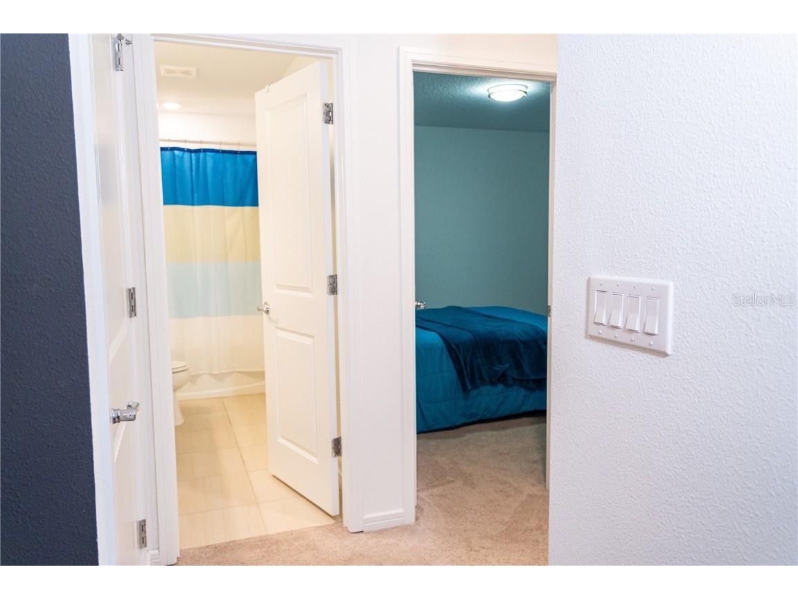 2377 Palm Park Loop Clermont FL 34714 S5137592 image25