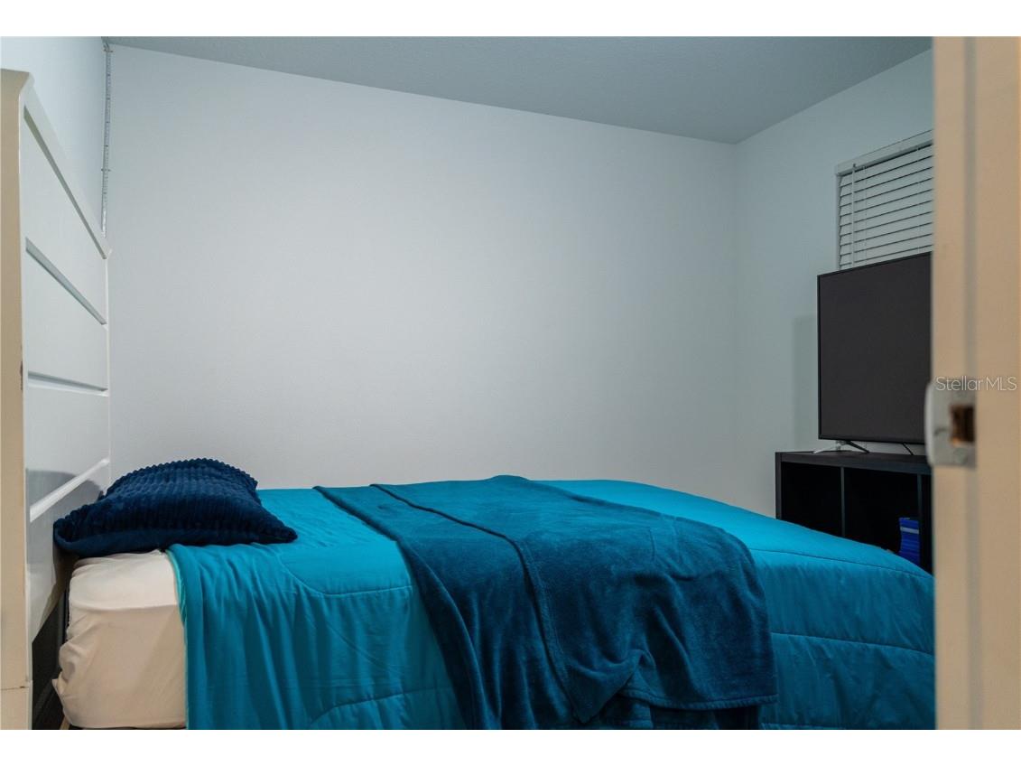 2377 Palm Park Loop Clermont FL 34714 S5137592 image28