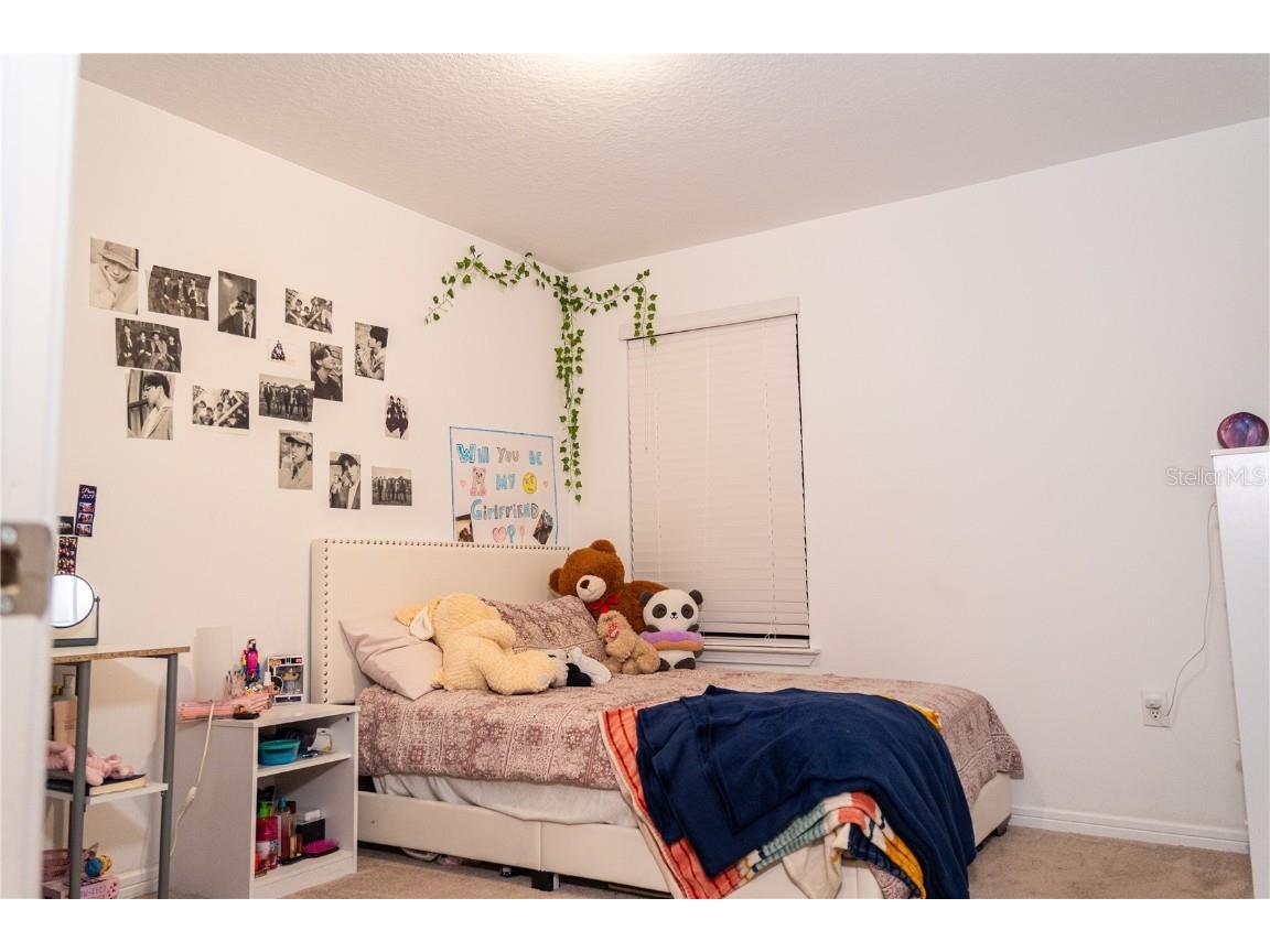 2377 Palm Park Loop Clermont FL 34714 S5137592 image30