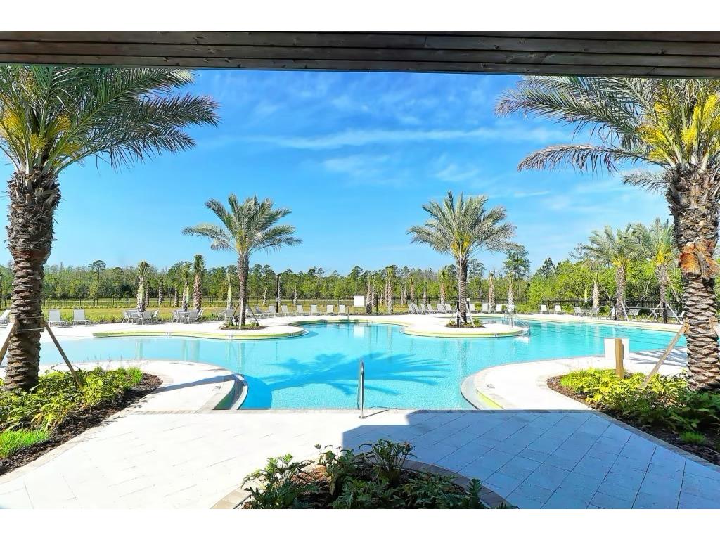 2377 Palm Park Loop Clermont FL 34714 S5137592 image42