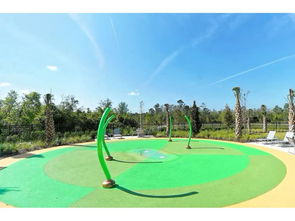 2377 Palm Park Loop Clermont FL 34714 S5137592 image45