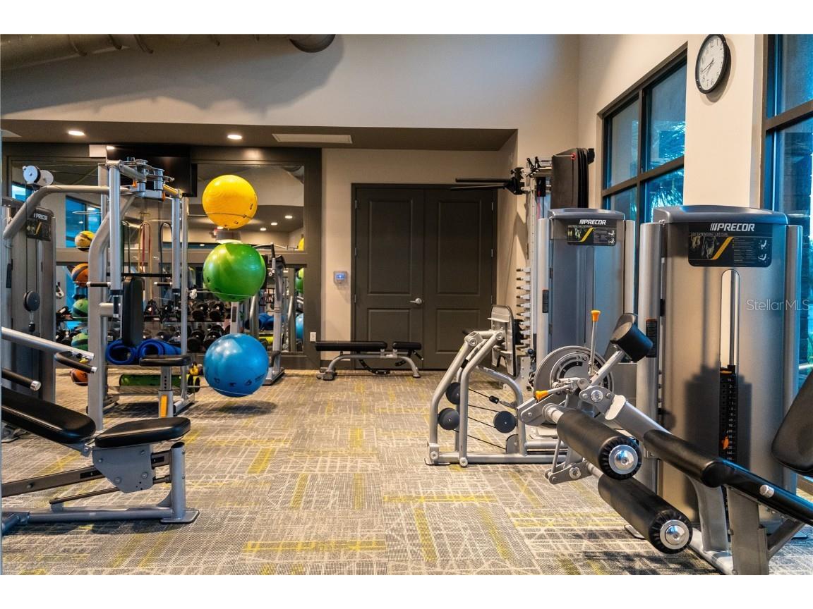 2377 Palm Park Loop Clermont FL 34714 S5137592 image47