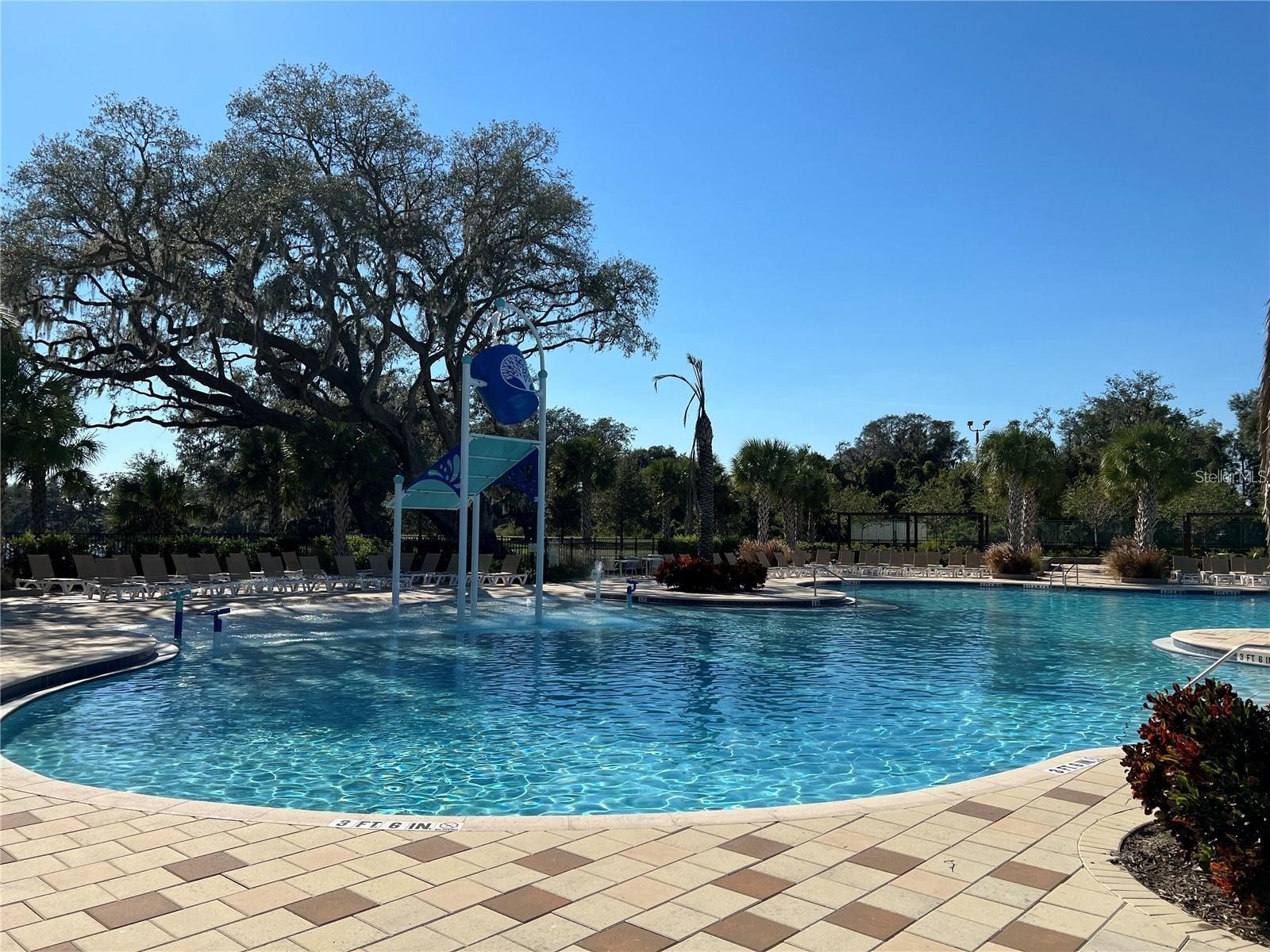 2377 Volunteer Avenue Kissimmee FL 34744 TB8507360 image23
