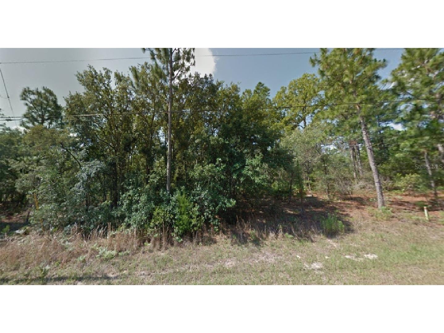 2378 W Wavecrest Drive Citrus Springs FL 34434 O6041570 image1