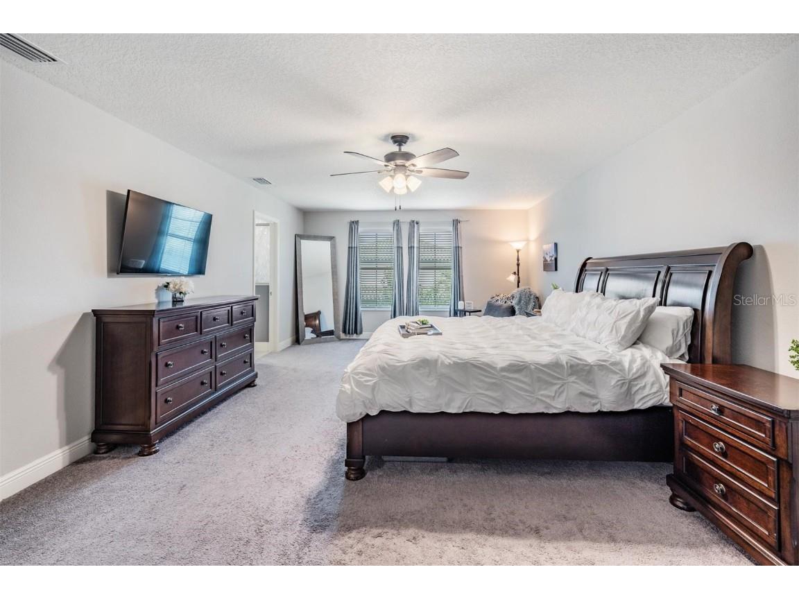 2378 Whittler Branch Odessa FL 33556 TB8411541 image20