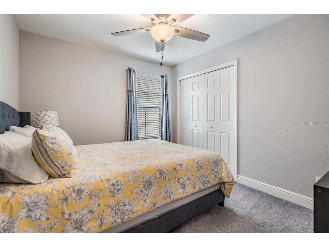 2378 Whittler Branch Odessa FL 33556 TB8411541 image25