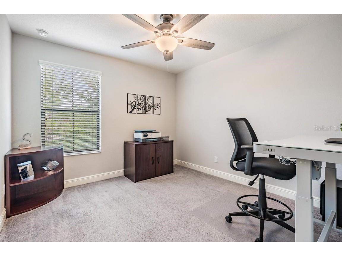 2378 Whittler Branch Odessa FL 33556 TB8411541 image26