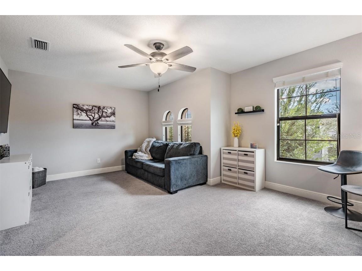 2378 Whittler Branch Odessa FL 33556 TB8411541 image30