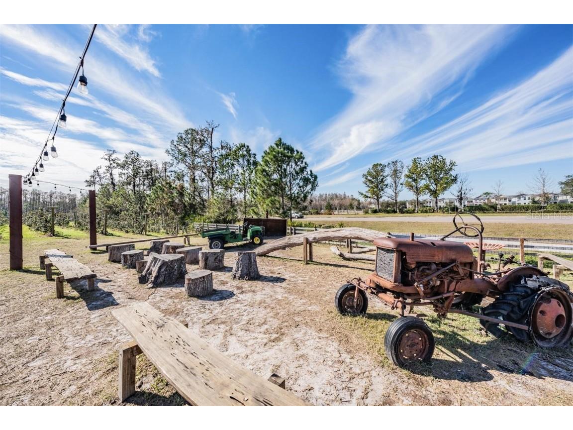 2378 Whittler Branch Odessa FL 33556 TB8411541 image76