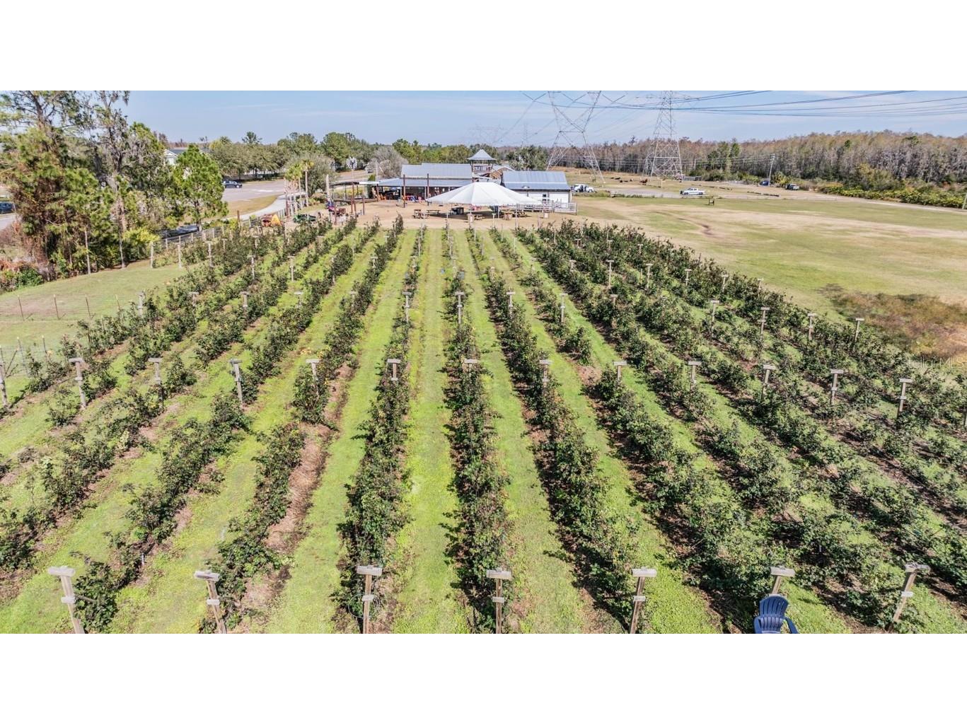 2378 Whittler Branch Odessa FL 33556 TB8411541 image78