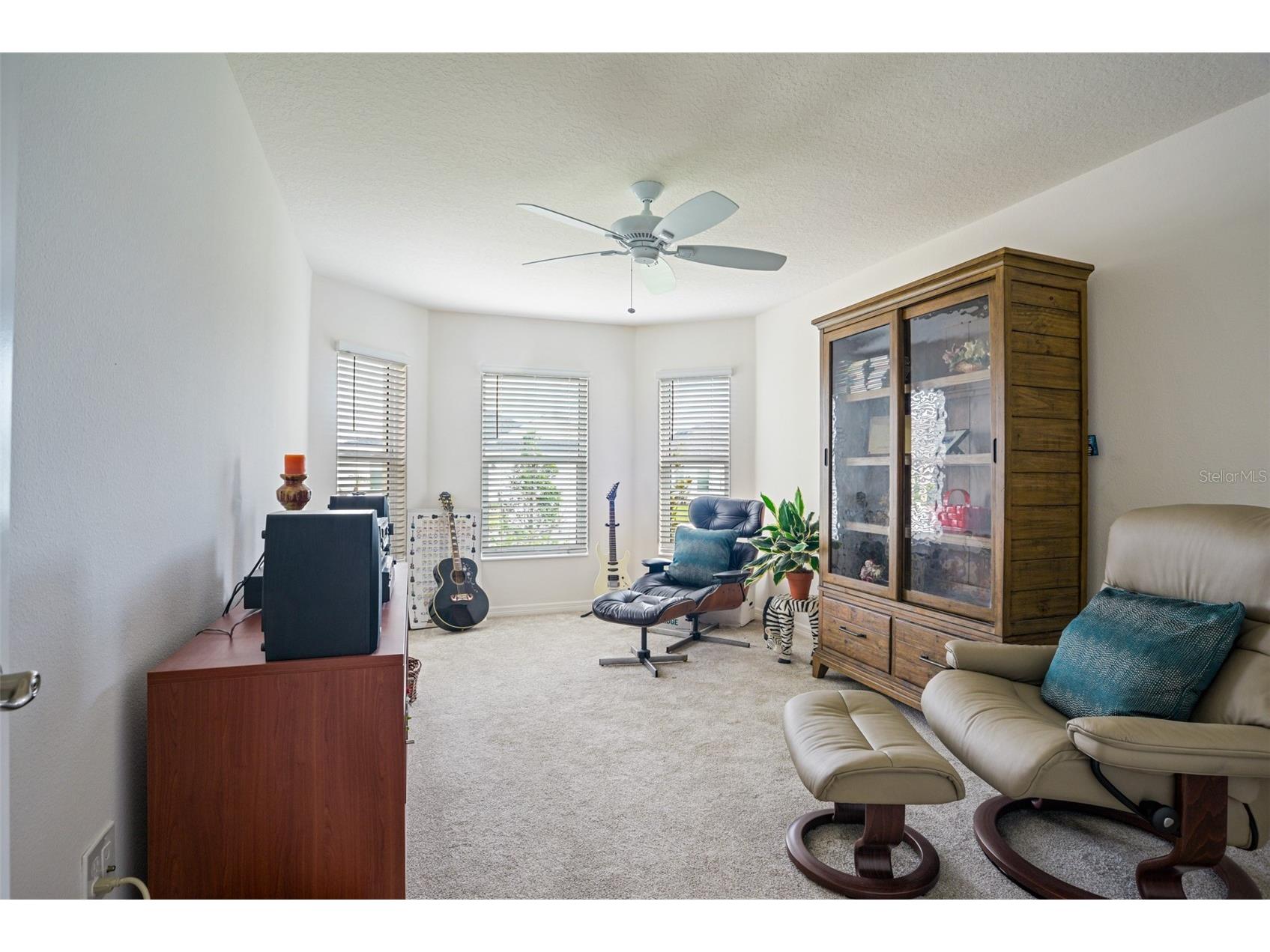 2378 Youngmann Loop The Villages FL 32163 G5112933 image10