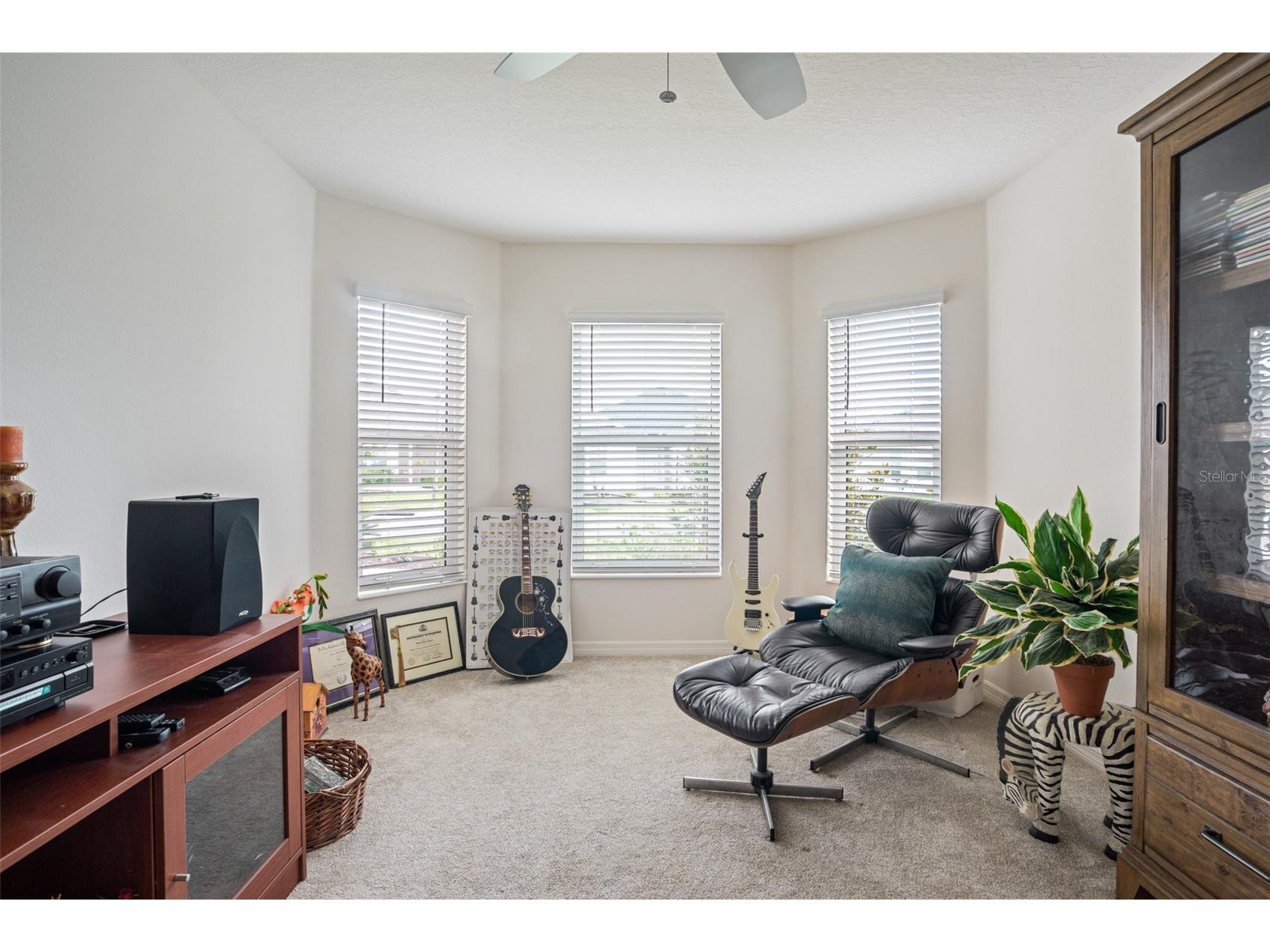 2378 Youngmann Loop The Villages FL 32163 G5112933 image11