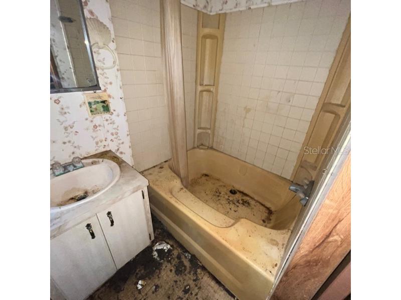 23781 NE 183rd Street Fort Mc Coy FL 32134 TB8509151 image11