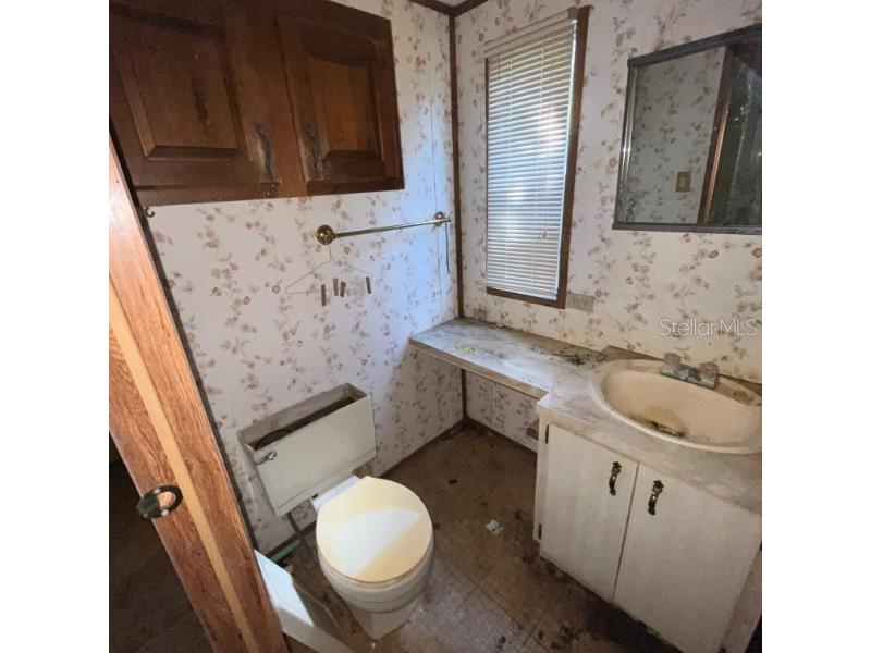 23781 NE 183rd Street Fort Mc Coy FL 32134 TB8509151 image12
