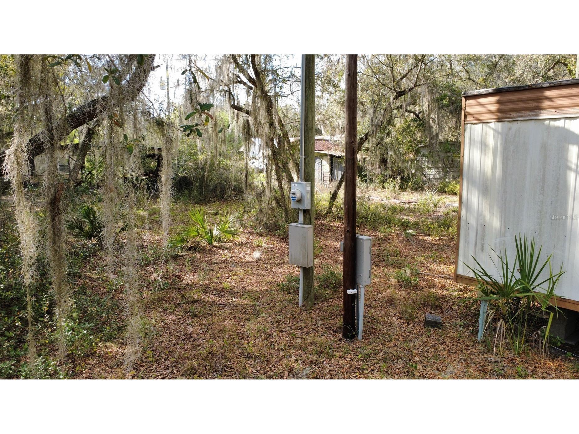 23781 NE 183rd Street Fort Mc Coy FL 32134 TB8509151 image13