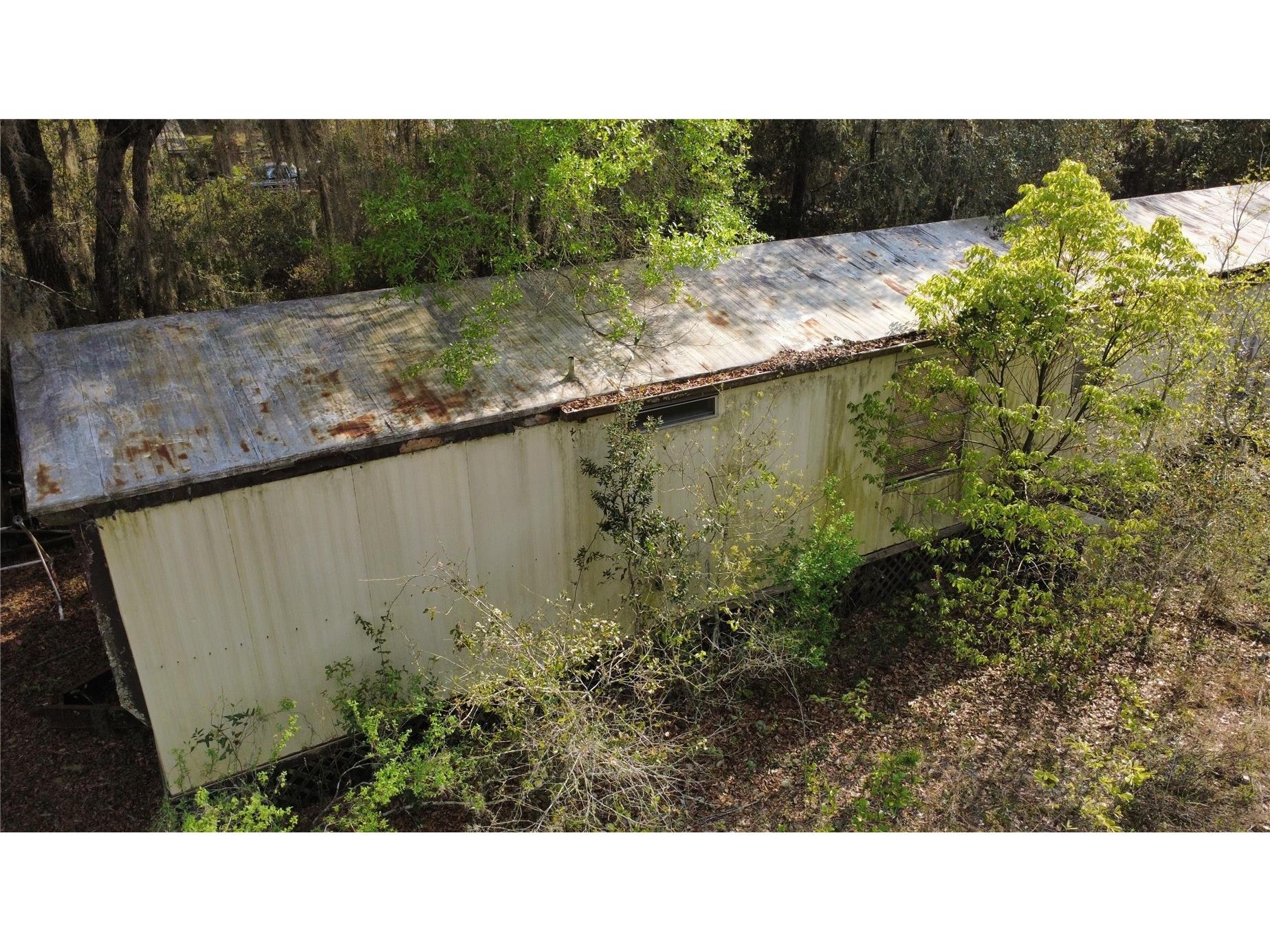 23781 NE 183rd Street Fort Mc Coy FL 32134 TB8509151 image17