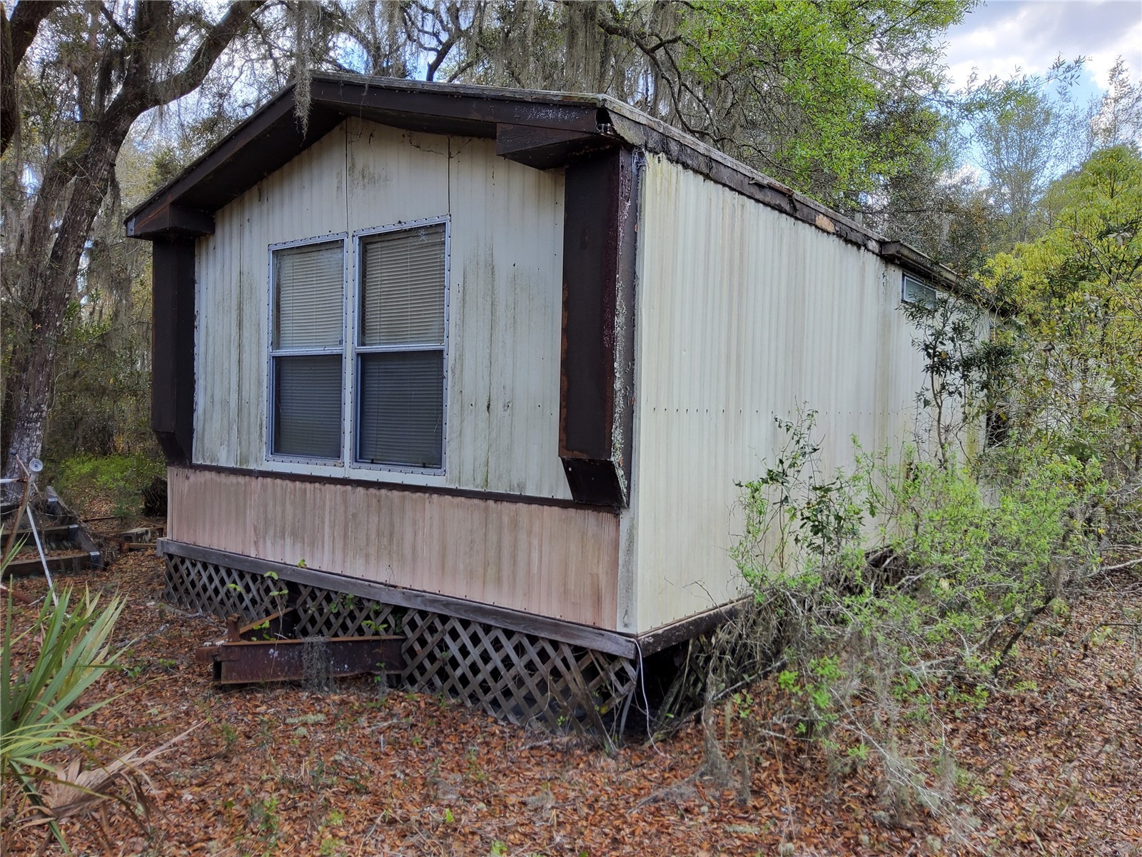 23781 NE 183rd Street Fort Mc Coy FL 32134 TB8509151 image20
