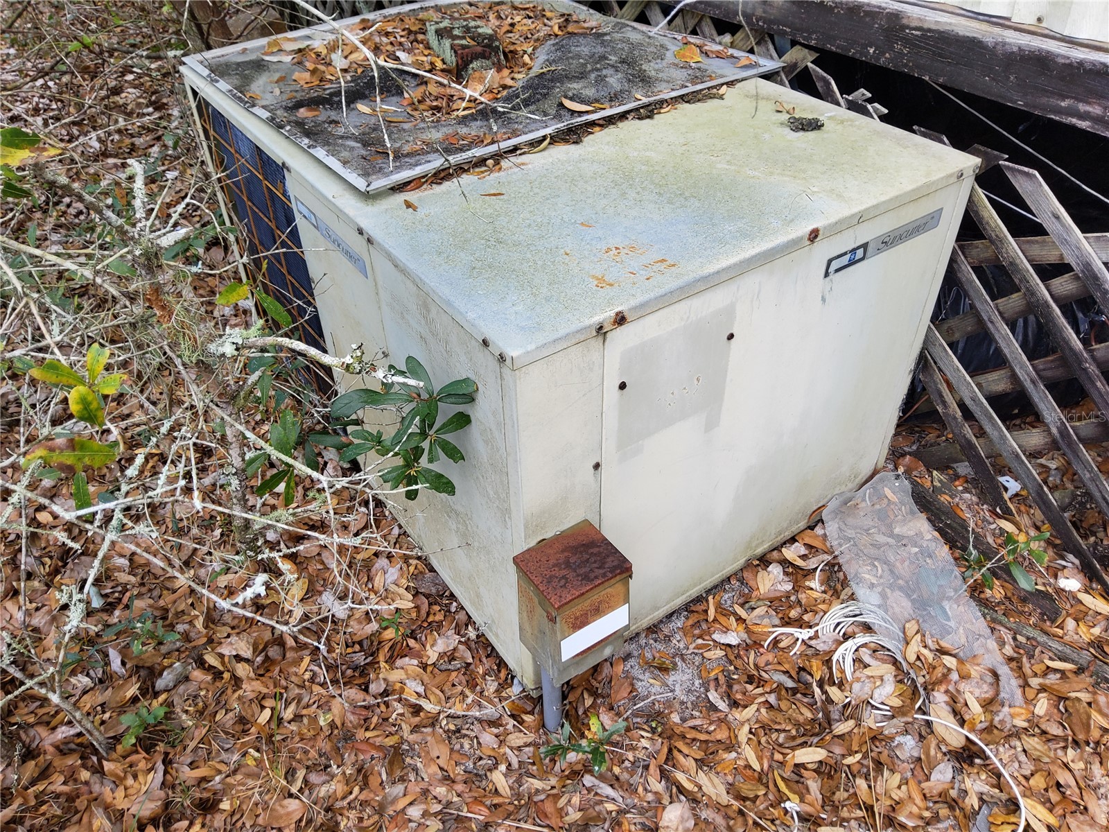 23781 NE 183rd Street Fort Mc Coy FL 32134 TB8509151 image21