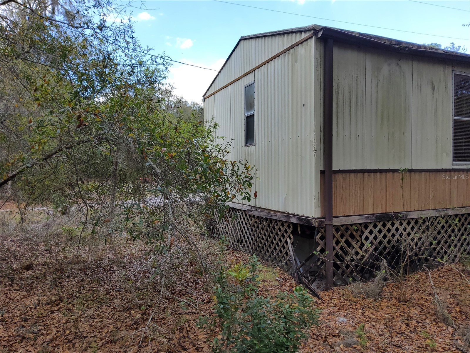 23781 NE 183rd Street Fort Mc Coy FL 32134 TB8509151 image26