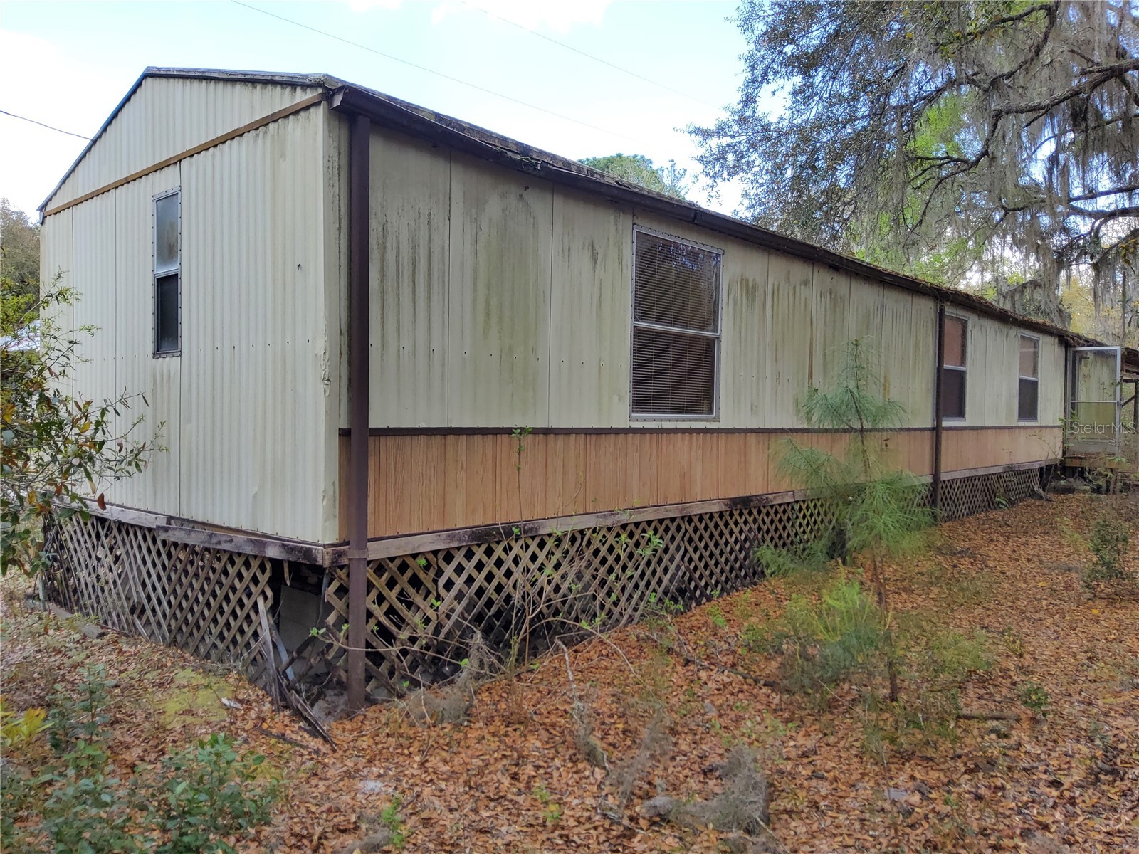 23781 NE 183rd Street Fort Mc Coy FL 32134 TB8509151 image27