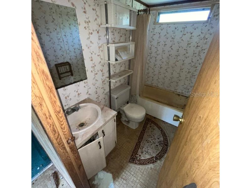 23781 NE 183rd Street Fort Mc Coy FL 32134 TB8509151 image3