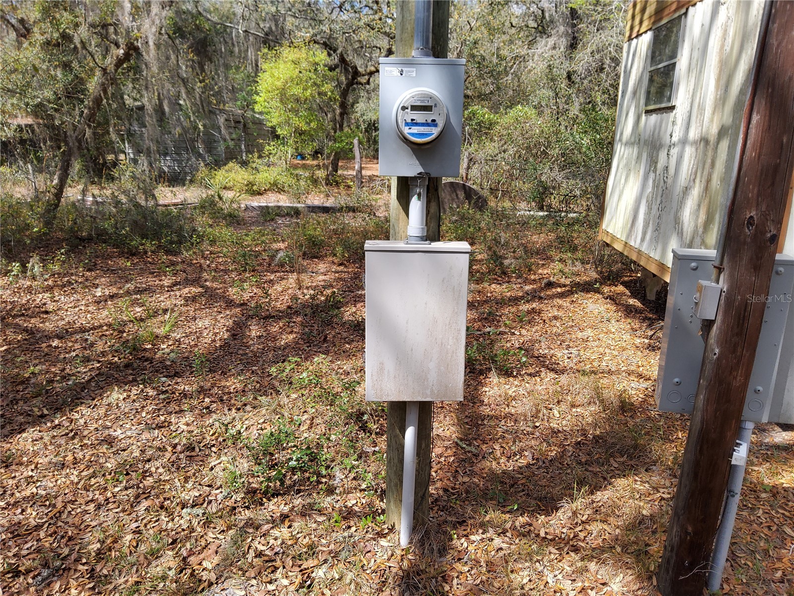 23781 NE 183rd Street Fort Mc Coy FL 32134 TB8509151 image35