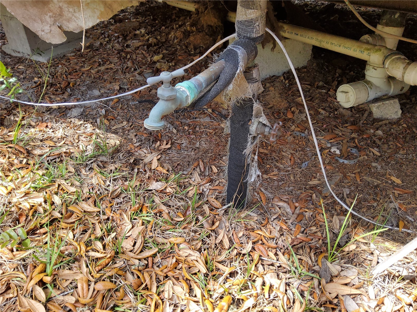 23781 NE 183rd Street Fort Mc Coy FL 32134 TB8509151 image36