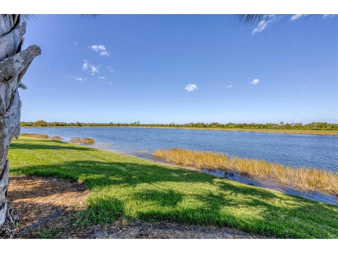 23787 Waverly Circle Venice FL 34293 N6134886 image23