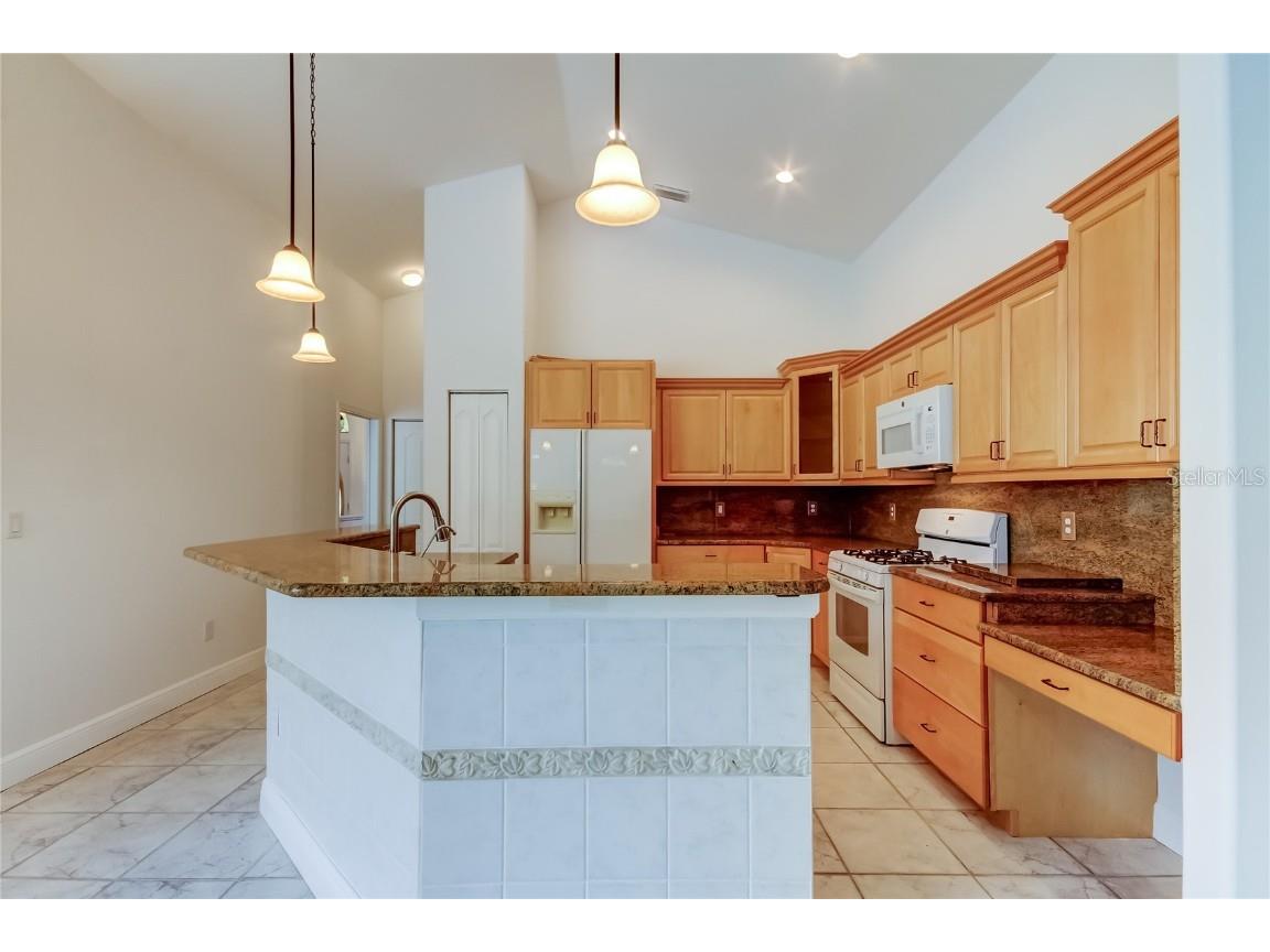 2379 Azalea Drive Palm Harbor FL 34683 TB8421973 image19