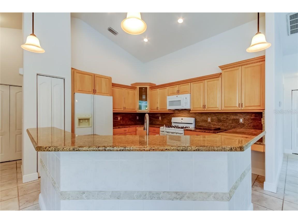 2379 Azalea Drive Palm Harbor FL 34683 TB8421973 image20