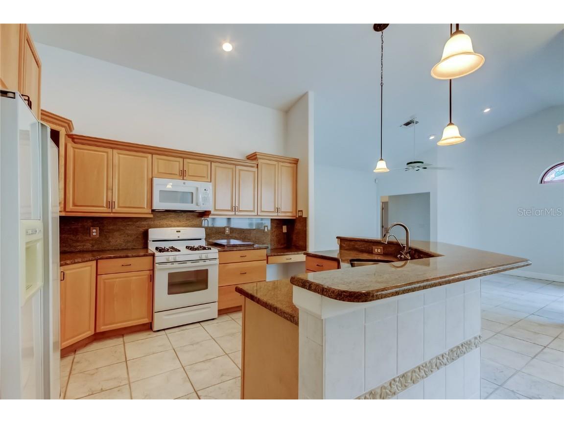 2379 Azalea Drive Palm Harbor FL 34683 TB8421973 image21