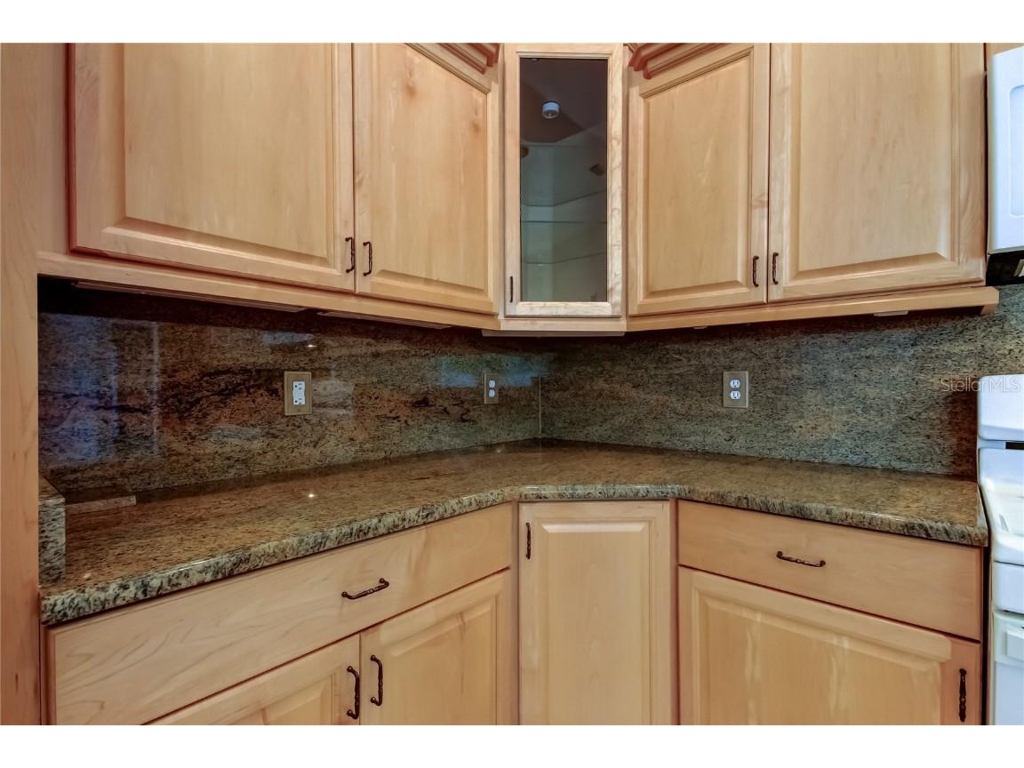 2379 Azalea Drive Palm Harbor FL 34683 TB8421973 image23