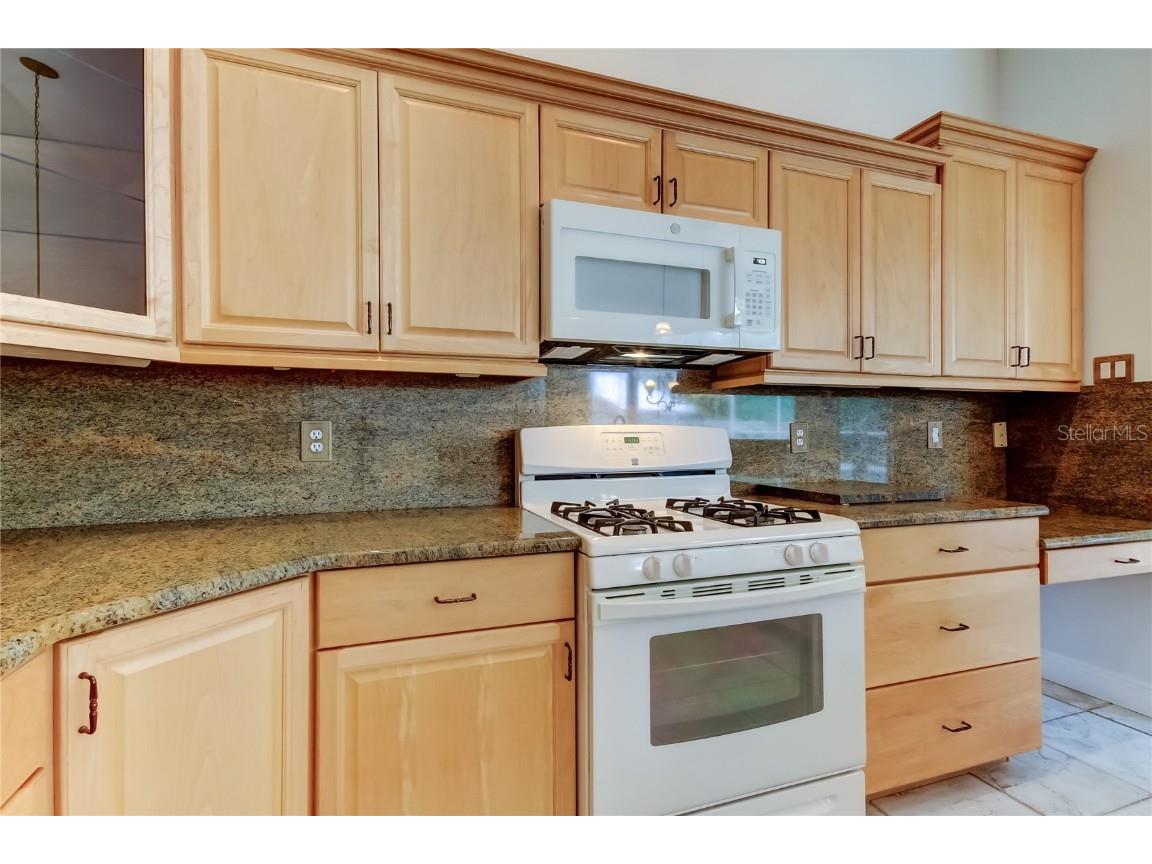 2379 Azalea Drive Palm Harbor FL 34683 TB8421973 image24