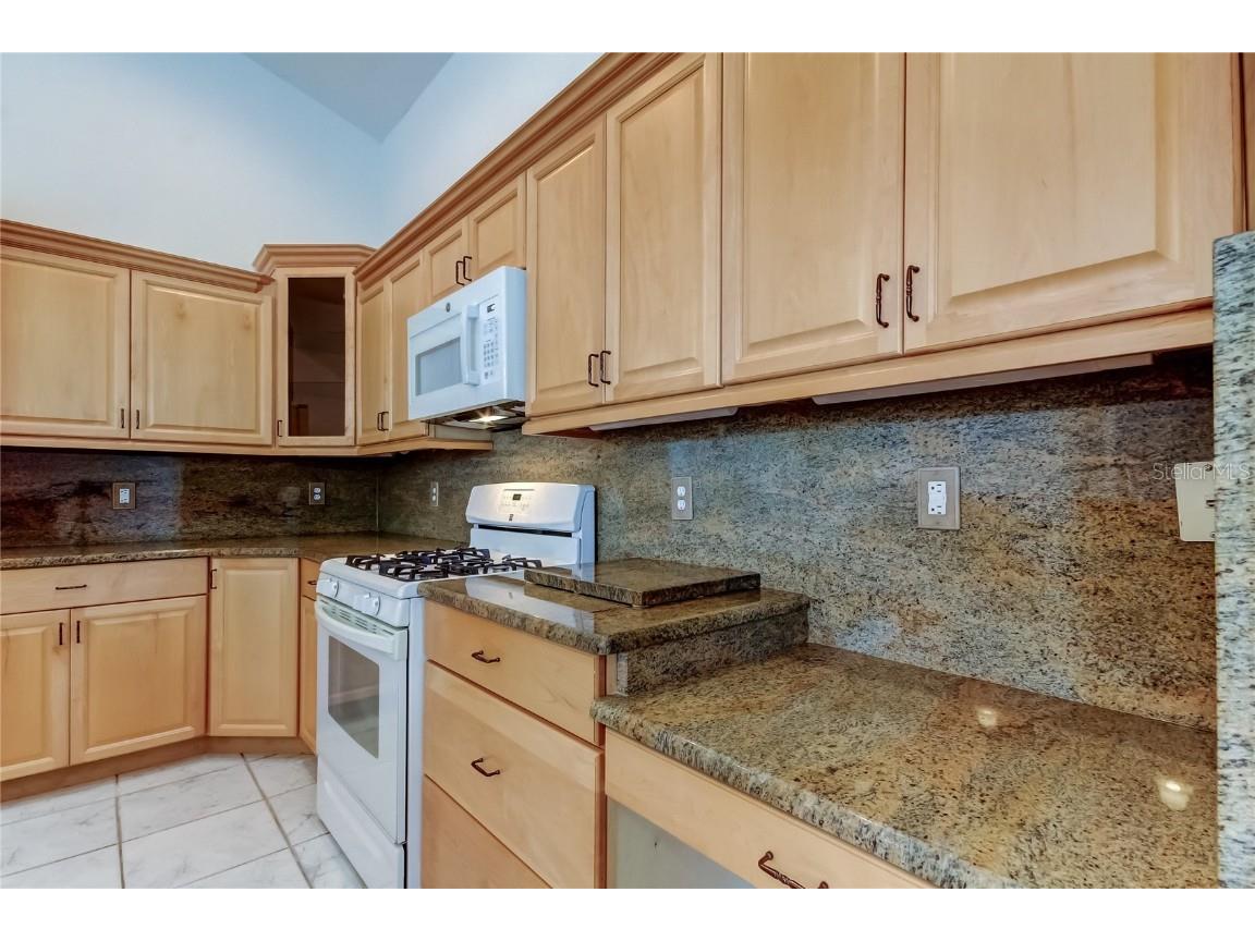 2379 Azalea Drive Palm Harbor FL 34683 TB8421973 image26