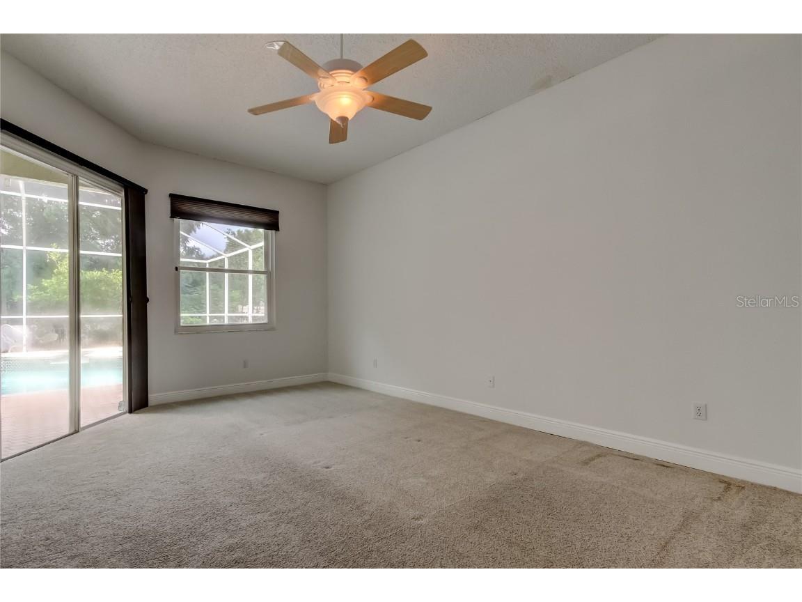 2379 Azalea Drive Palm Harbor FL 34683 TB8421973 image29