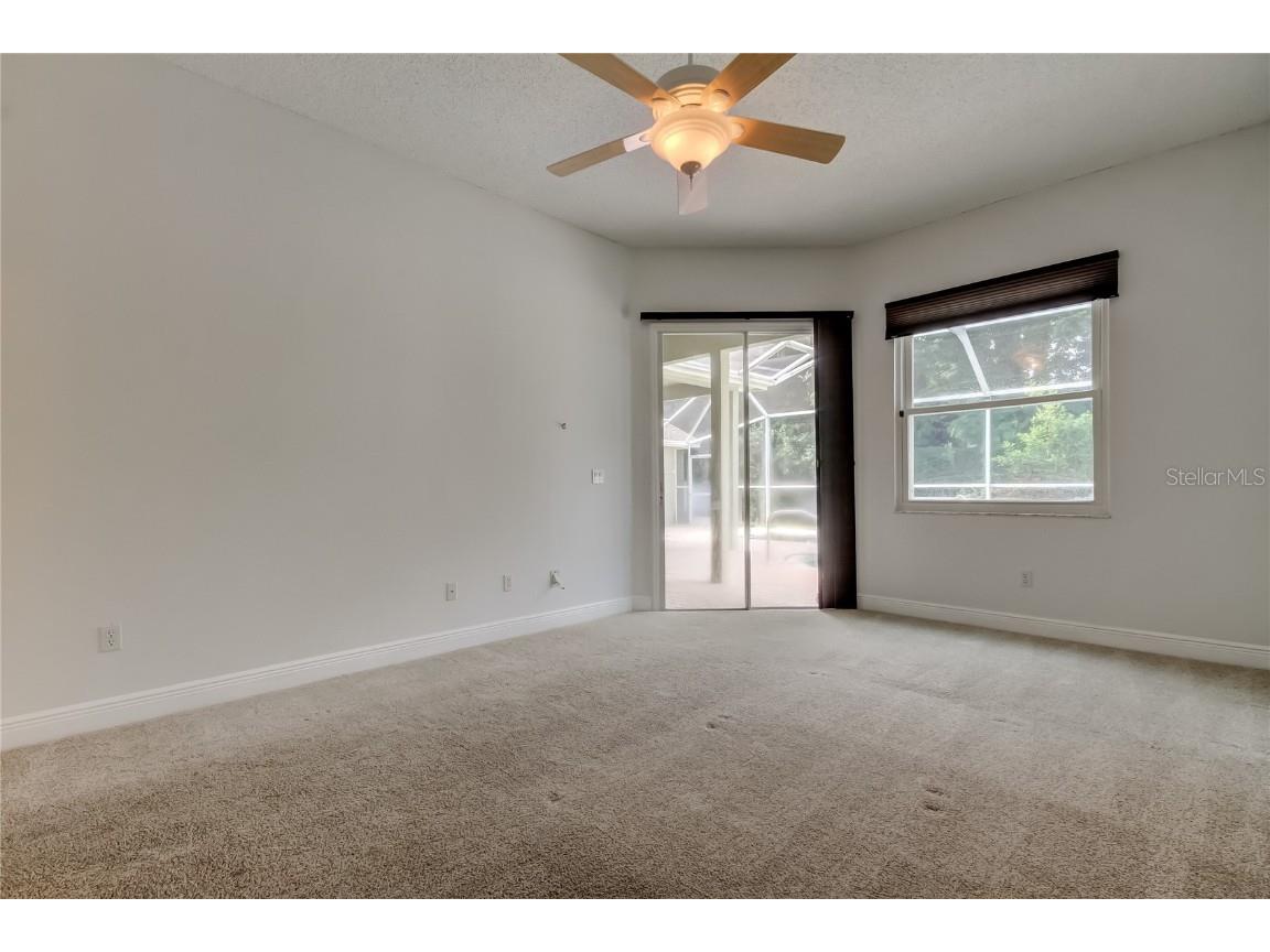 2379 Azalea Drive Palm Harbor FL 34683 TB8421973 image30