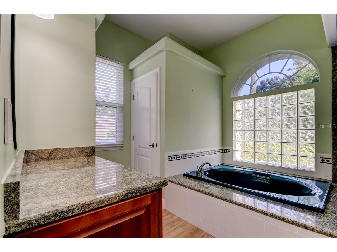 2379 Azalea Drive Palm Harbor FL 34683 TB8421973 image34