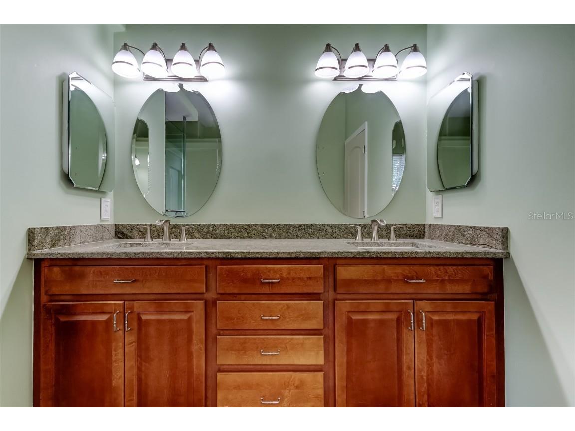 2379 Azalea Drive Palm Harbor FL 34683 TB8421973 image36