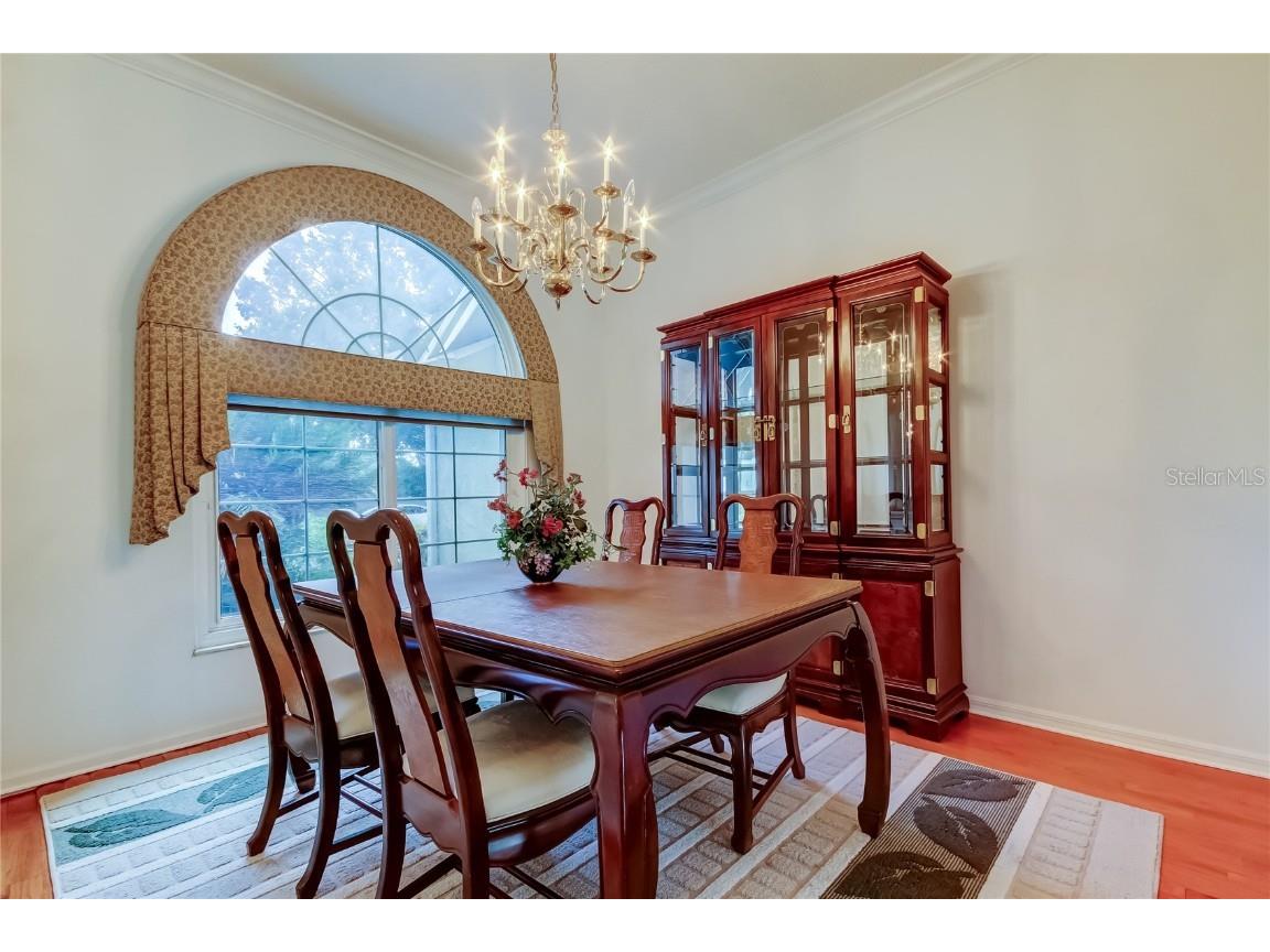 2379 Azalea Drive Palm Harbor FL 34683 TB8421973 image4