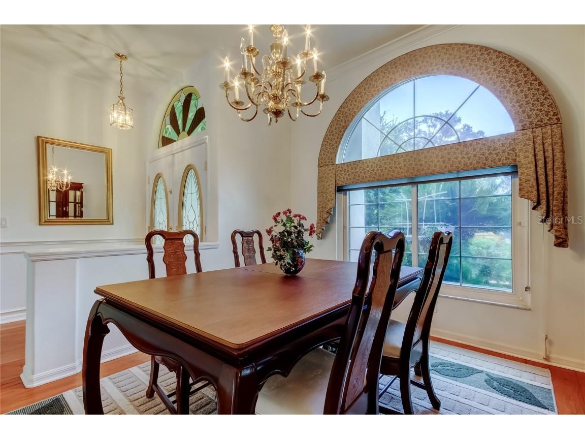 2379 Azalea Drive Palm Harbor FL 34683 TB8421973 image5