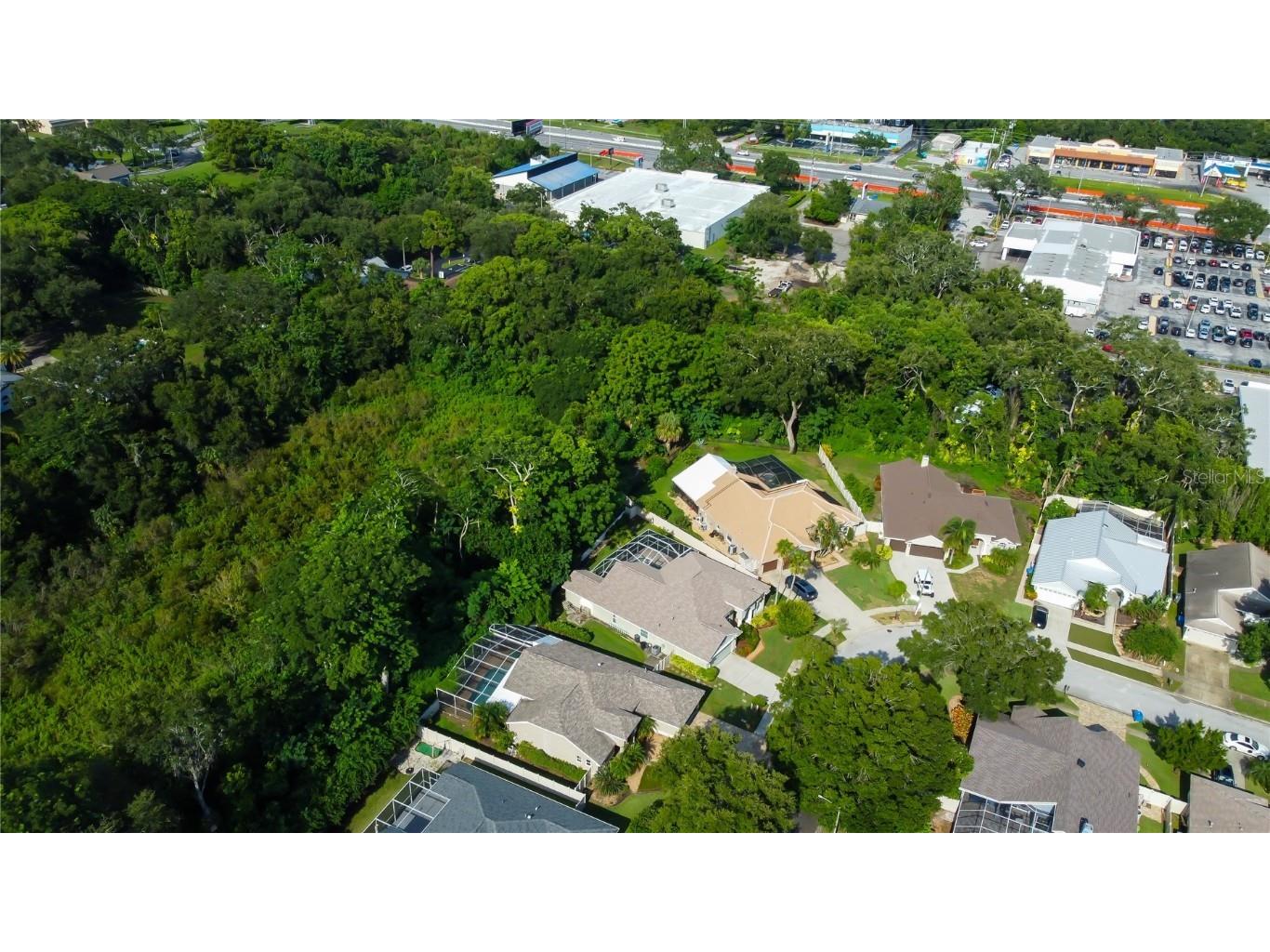 2379 Azalea Drive Palm Harbor FL 34683 TB8421973 image57