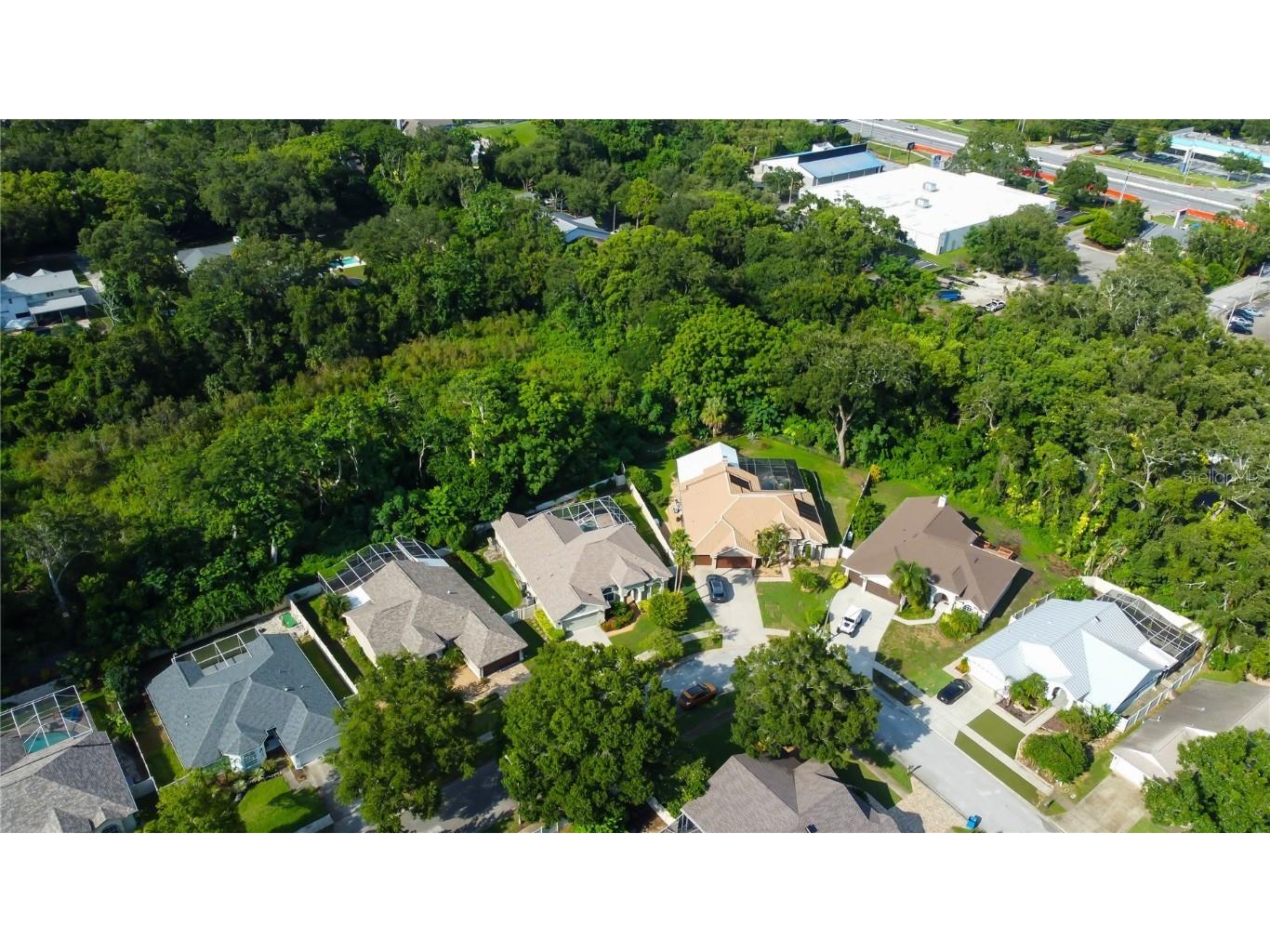 2379 Azalea Drive Palm Harbor FL 34683 TB8421973 image58