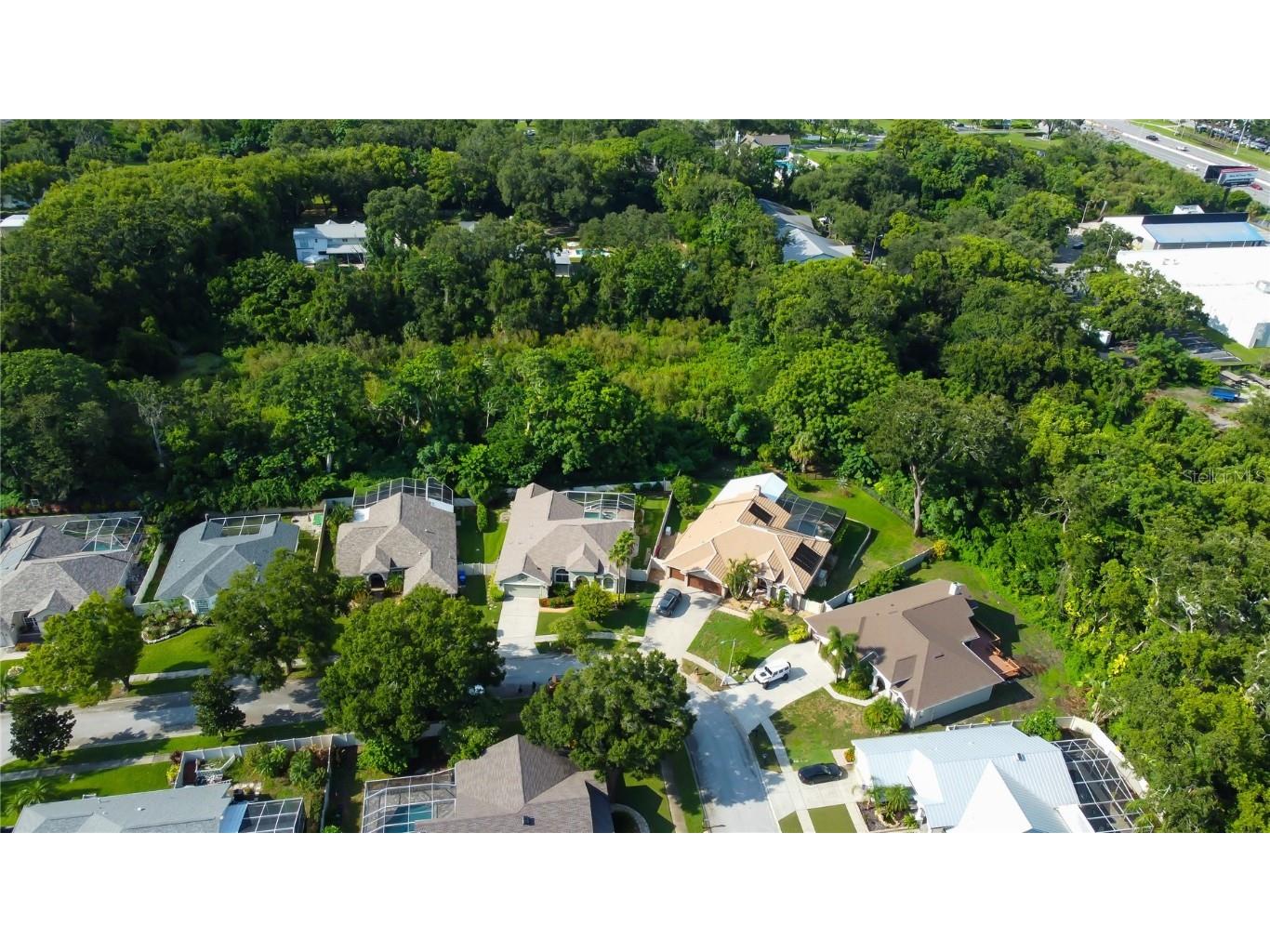 2379 Azalea Drive Palm Harbor FL 34683 TB8421973 image59