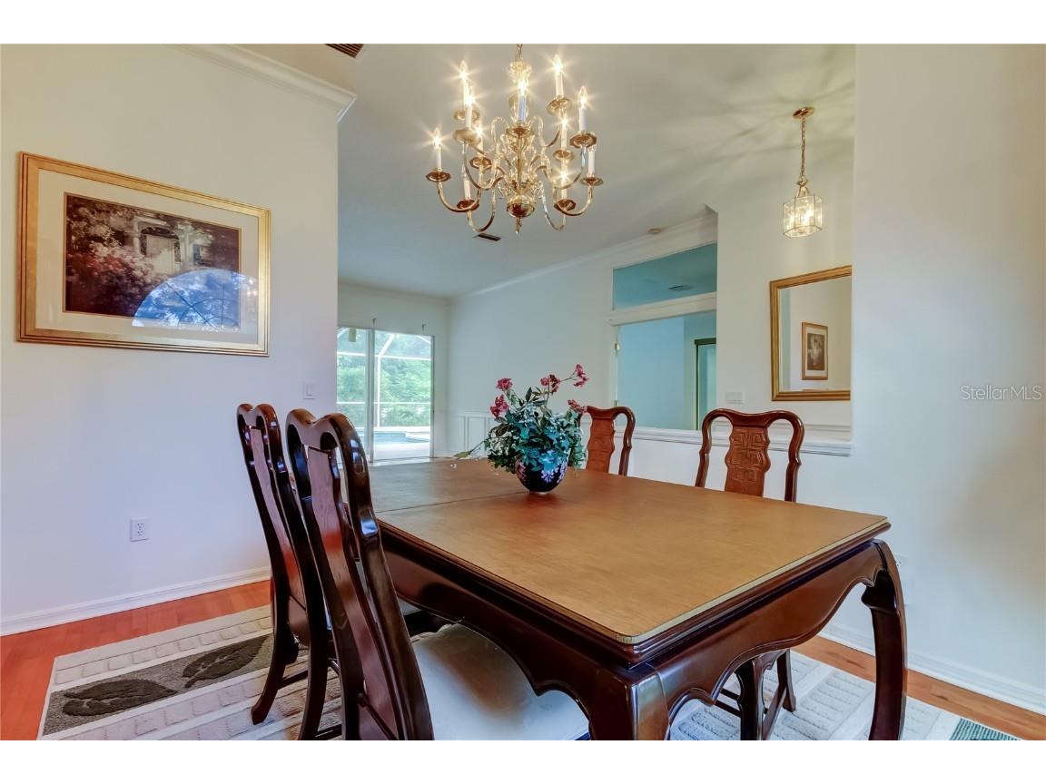 2379 Azalea Drive Palm Harbor FL 34683 TB8421973 image6