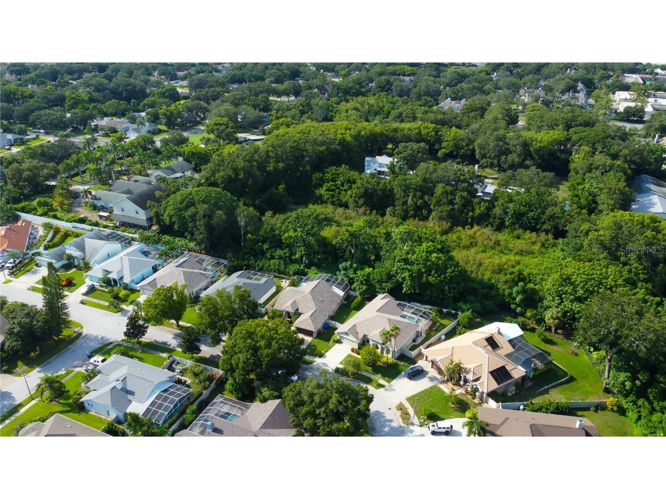 2379 Azalea Drive Palm Harbor FL 34683 TB8421973 image60