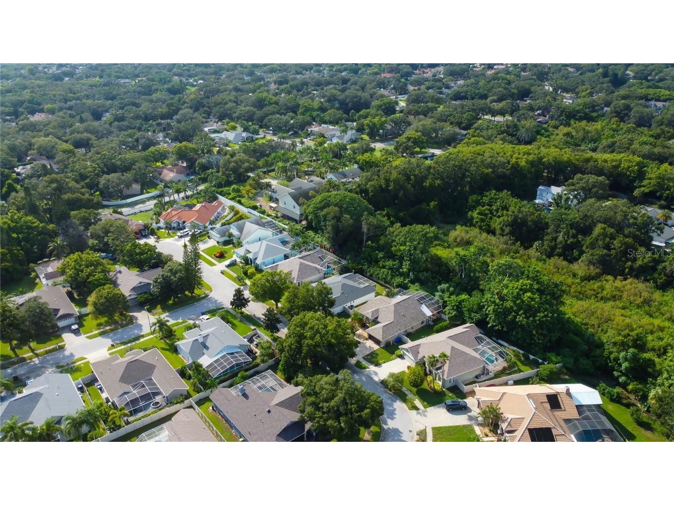 2379 Azalea Drive Palm Harbor FL 34683 TB8421973 image61